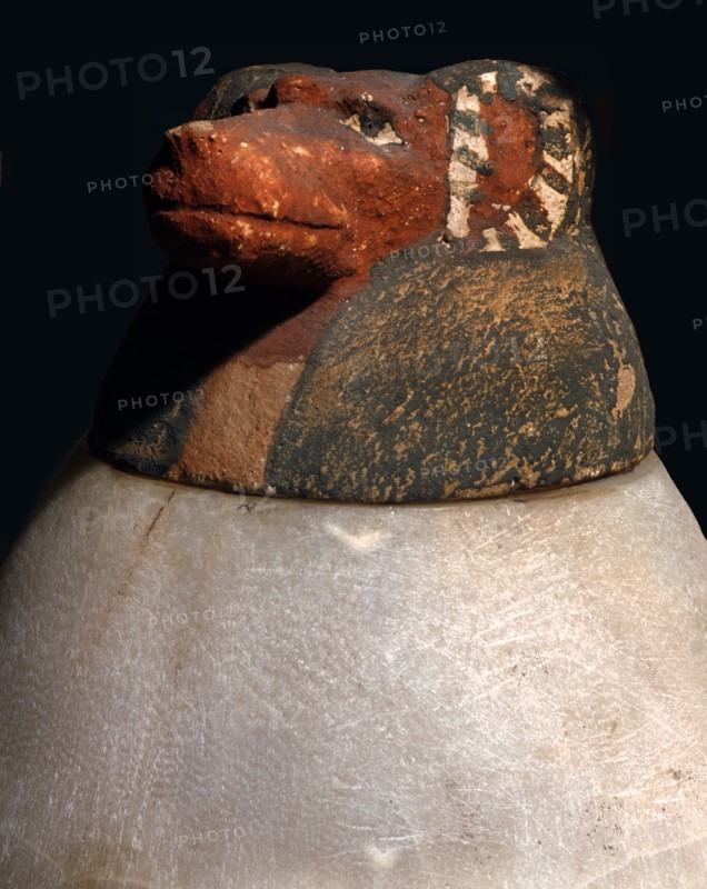 Canopic vase with Hapi's head, protector of the lungs