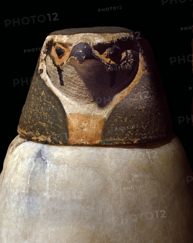 Vase canope avec la tête du génie Kébehsénouf, protecteur des intestins