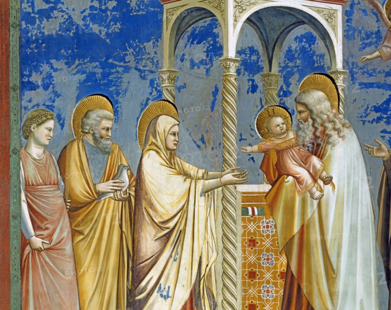 Giotto, La Présentation de Jésus au Temple. Détail