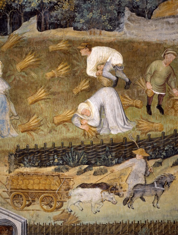 Fresque du Château de Buonconsiglio à Trente (Italie)
