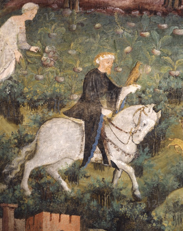 Fresque du Château de Buonconsiglio à Trente (Italie)