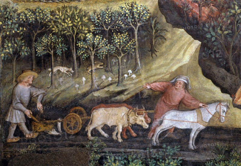 Fresque du Château de Buonconsiglio à Trente (Italie)