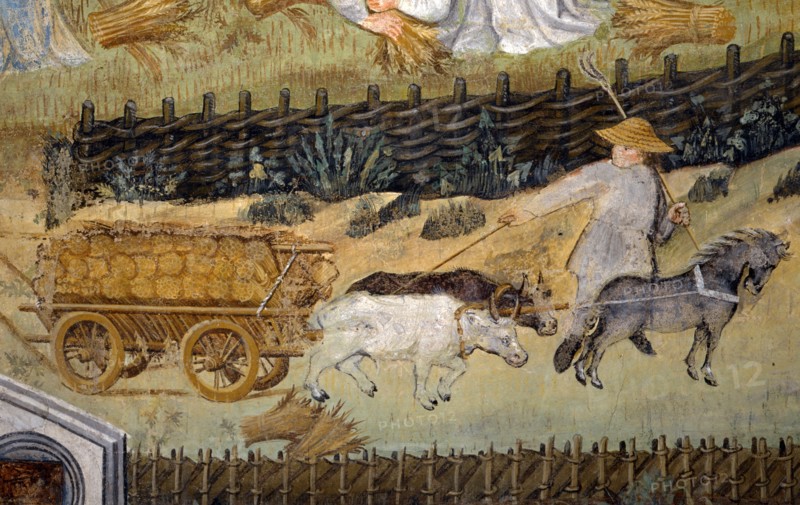 Fresque du Château de Buonconsiglio à Trente (Italie)