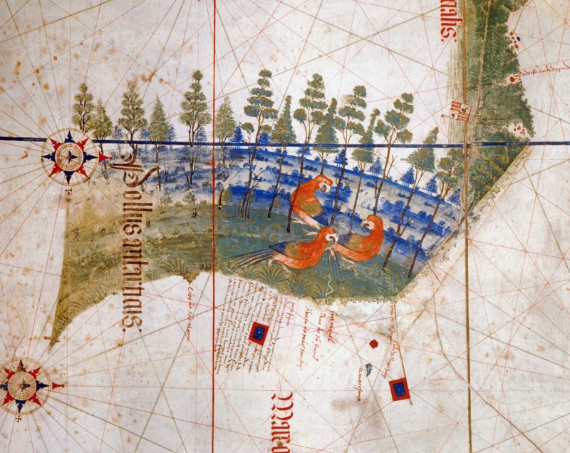 Planisphere illuminated in Portugal in 1502