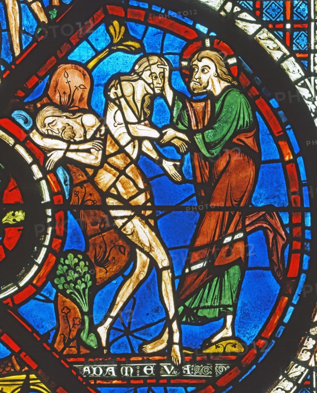 Vitrail de la cathédrale Notre-Dame de Chartres.