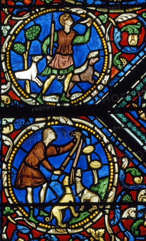 Vitrail de la cathédrale Notre-Dame de Chartres