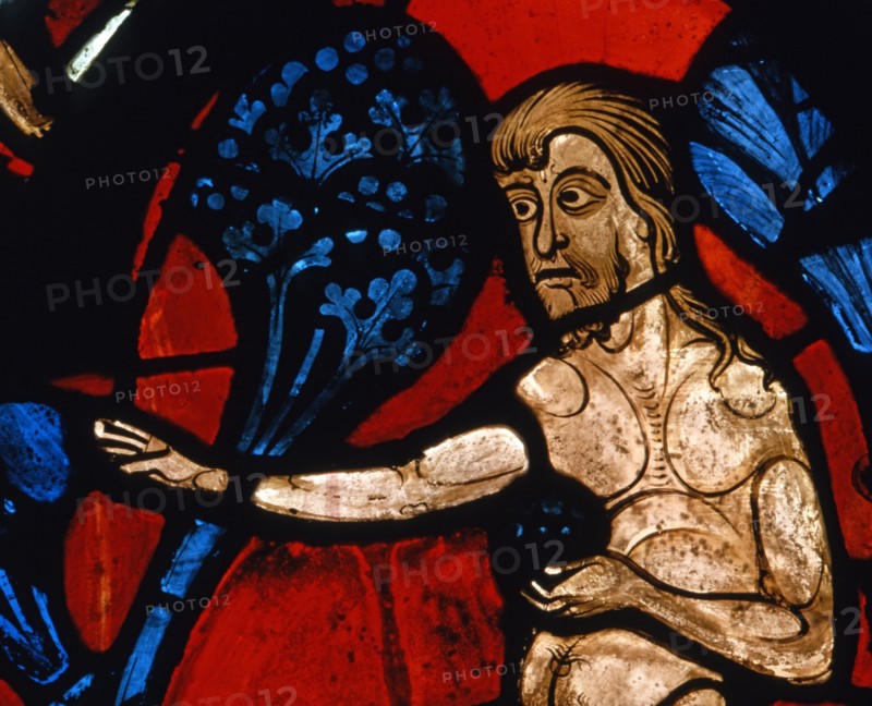 Vitrail de la cathédrale Notre-Dame de Chartres.
