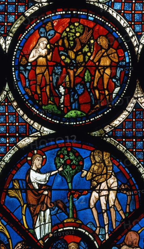 Vitrail de la cathédrale Notre-Dame de Chartres