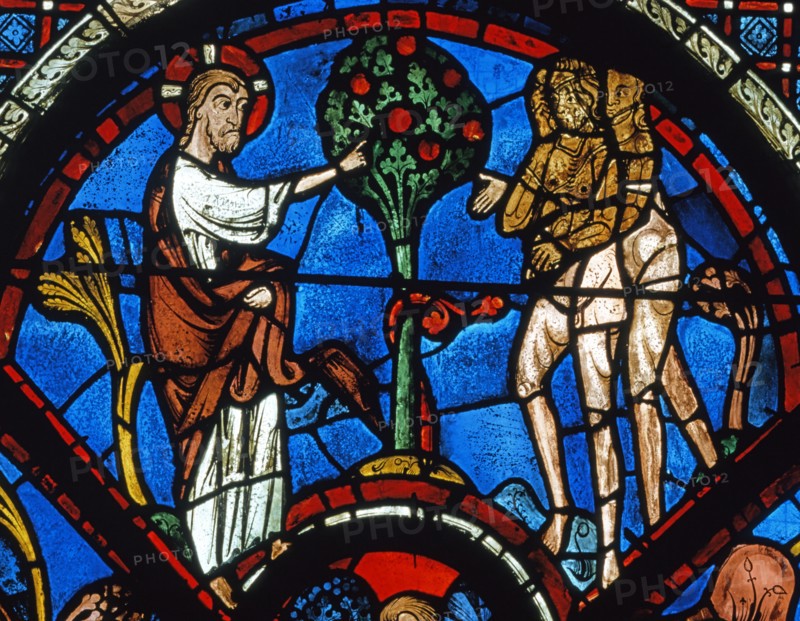 Vitrail de la cathédrale Notre-Dame de Chartres