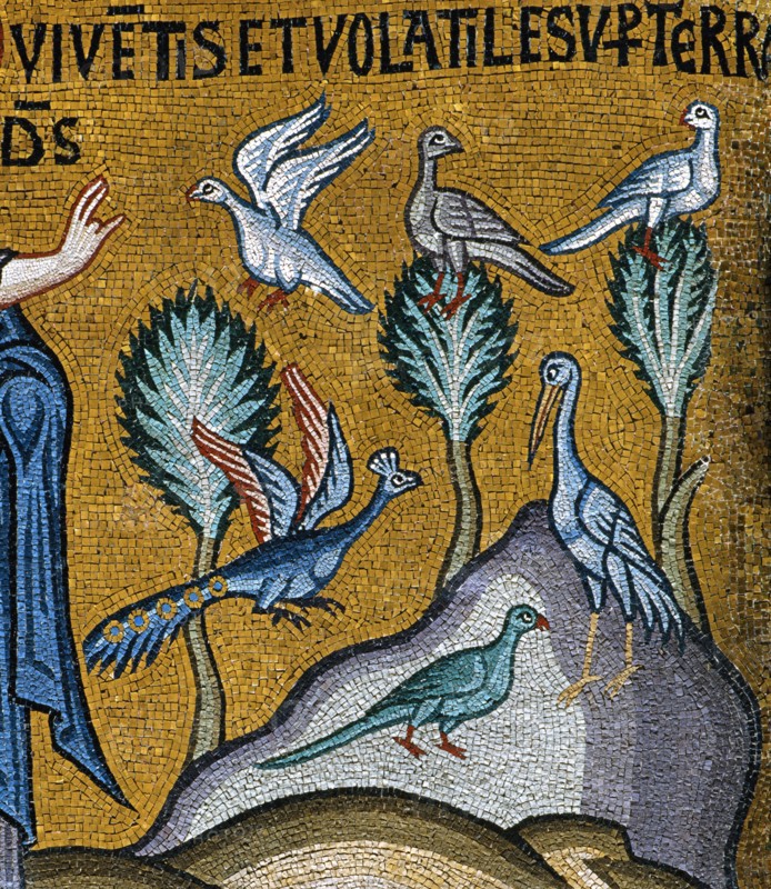 Chapelle palatine de Palerme
Mosaïque byzantine
La Genèse
Au cinquième jour, Dieu crée les oiseaux et les poissons
Détail

Palerme (Italie, Sicile), Palais des Normands, Chapelle Palatine (Palazzo dei Normanni, Cappella Palatina), consacrée en 1143.