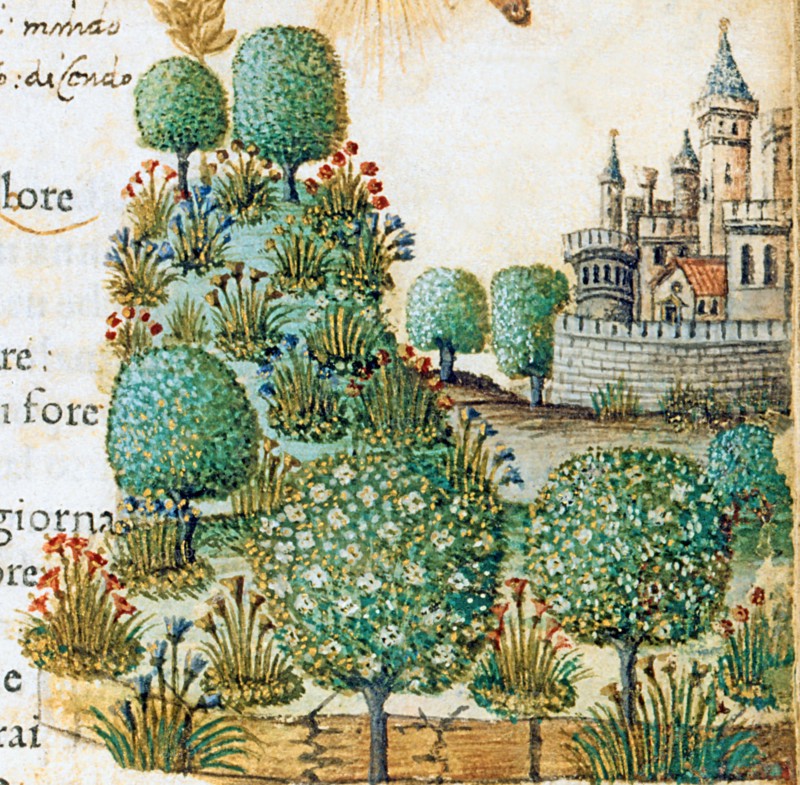 Illustration des "Canzoniere e Trionfi" de Pétrarque