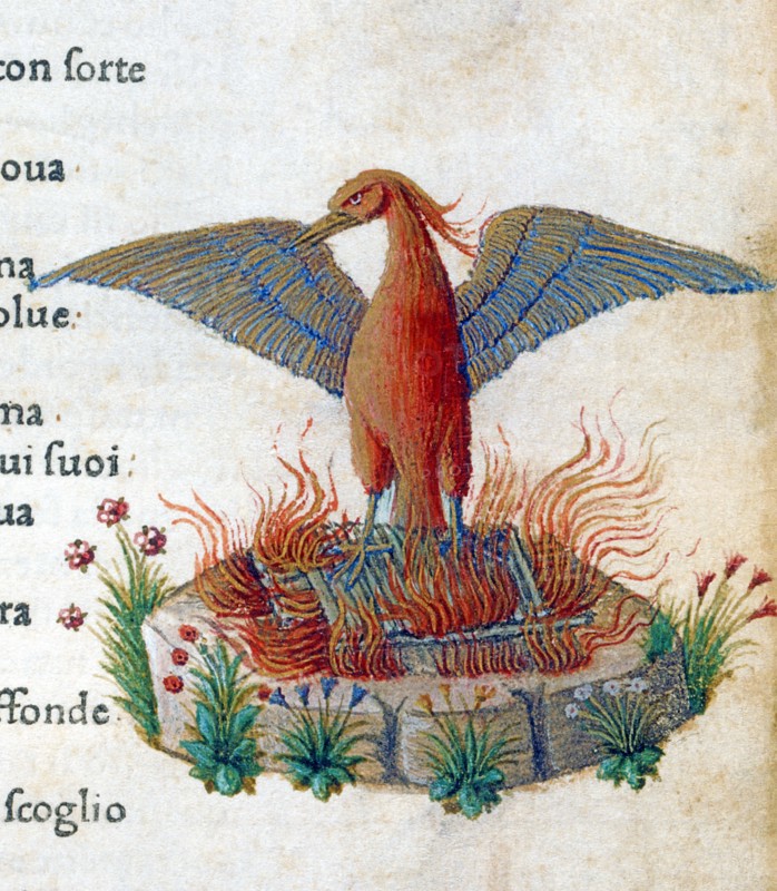 Illustration des "Canzoniere e Trionfi" de Pétrarque