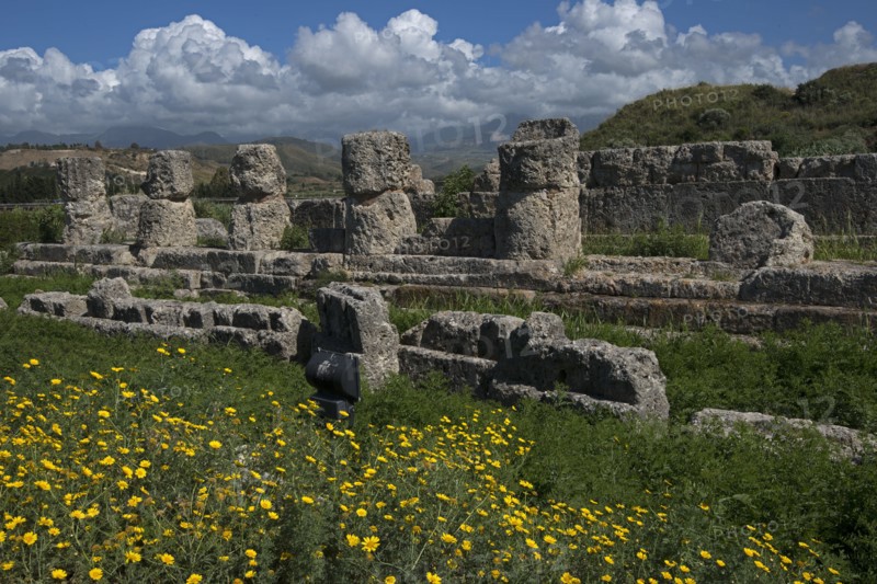 Site archéologique de Himera (Sicile)