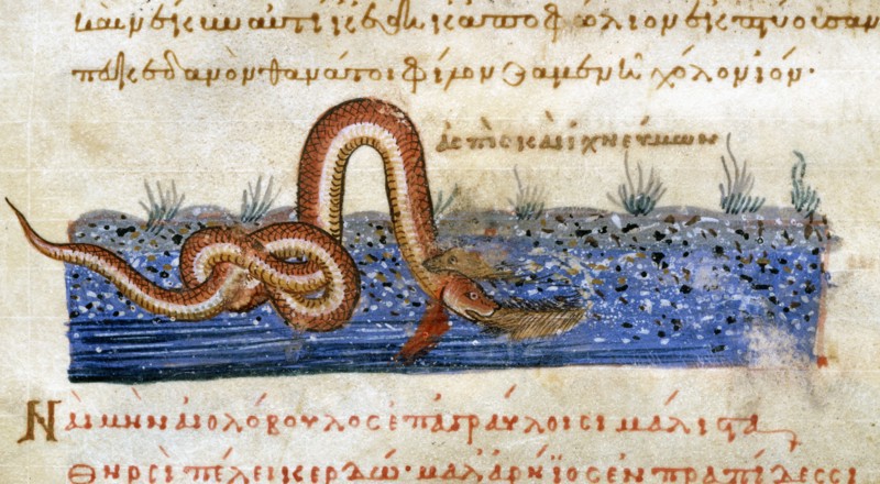 Oppian of Apamea, 'Cynegetica': Combat between a snake and a coypu