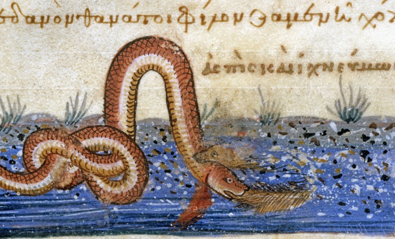 Oppian of Apamea, 'Cynegetica': Combat between a snake and a coypu (detail)