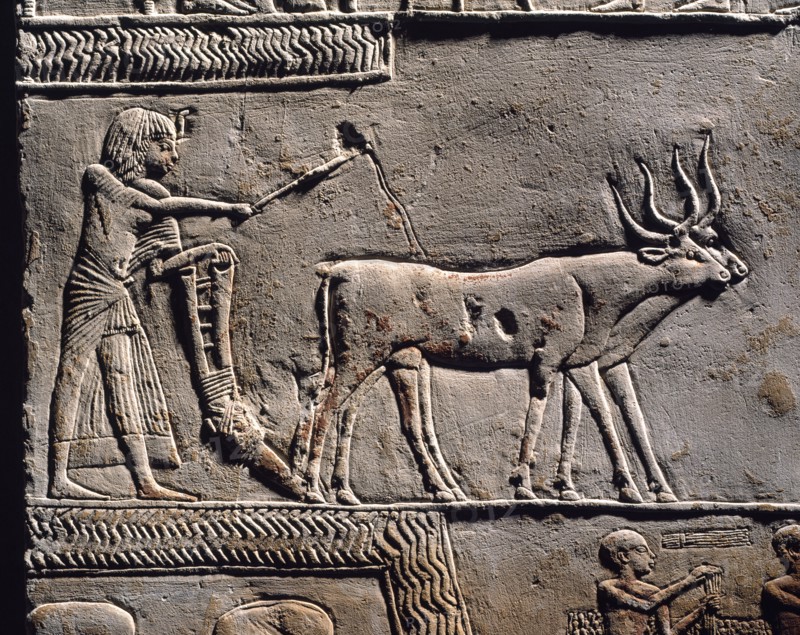 Horemheb labourant les champs d'Ialou