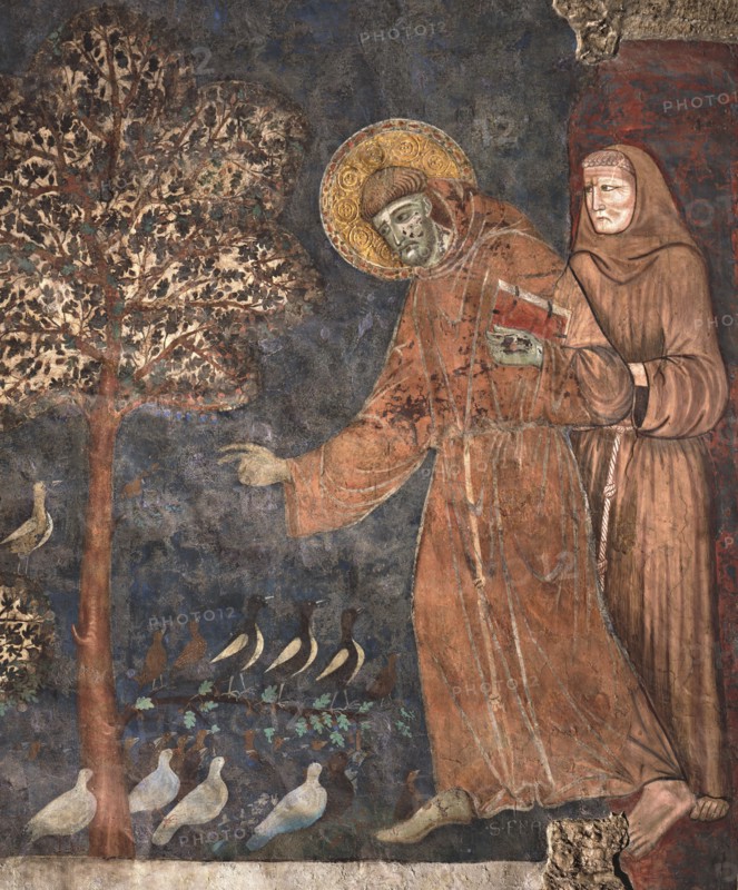 Maître de Saint François, Saint François prêche aux oiseaux