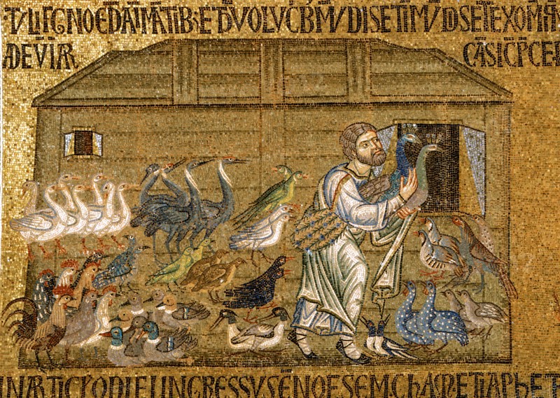 Embarquement des oiseaux dans l'Arche de Noé