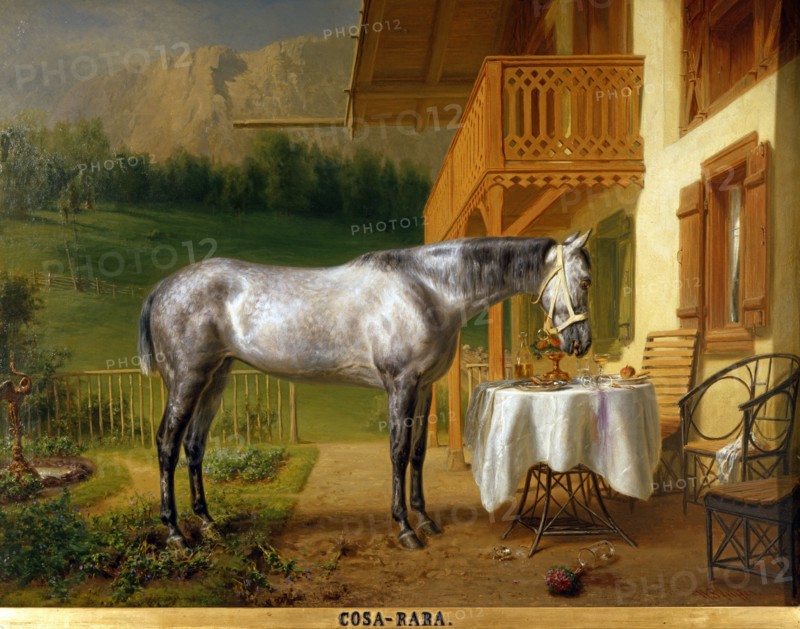 Pfeiffer, Portrait du cheval "Cosa Rara" dans l'une des maisons royales du parc du château de Linderhof