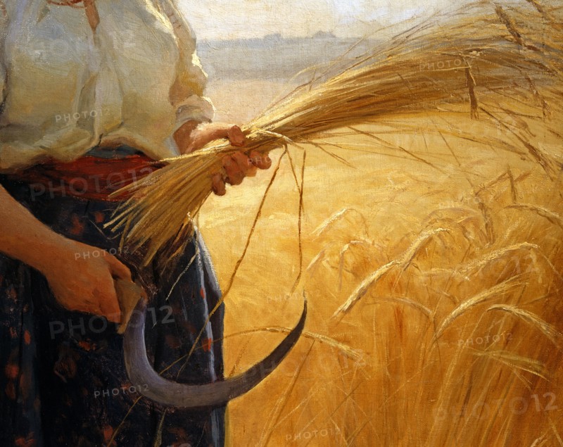 Pimonenko, Moissonneuse (détail)
