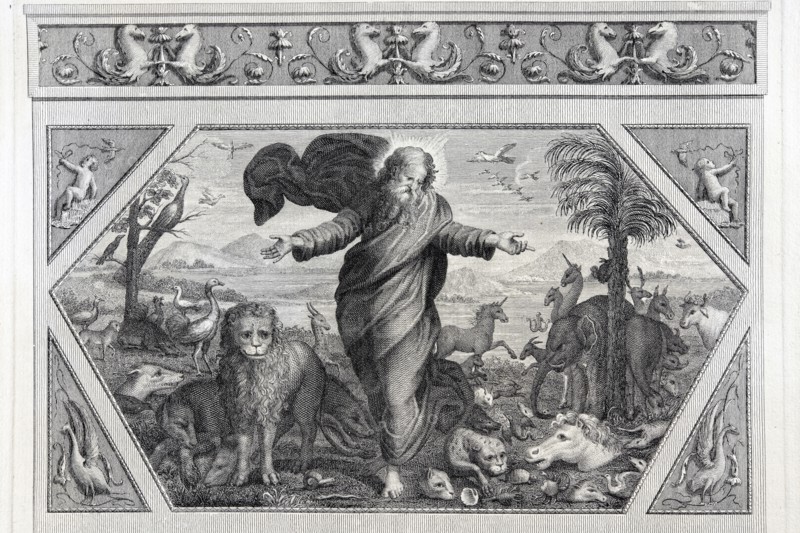 La Genèse, chapitre 1 : Dieu crée les animaux