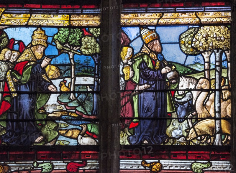 Vitrail de la Genèse : Dieu peuple la terre de toutes sortes d'animaux