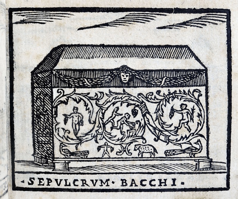 Sepulchrum Bacchi :  sarcophage de Constance à Rome
