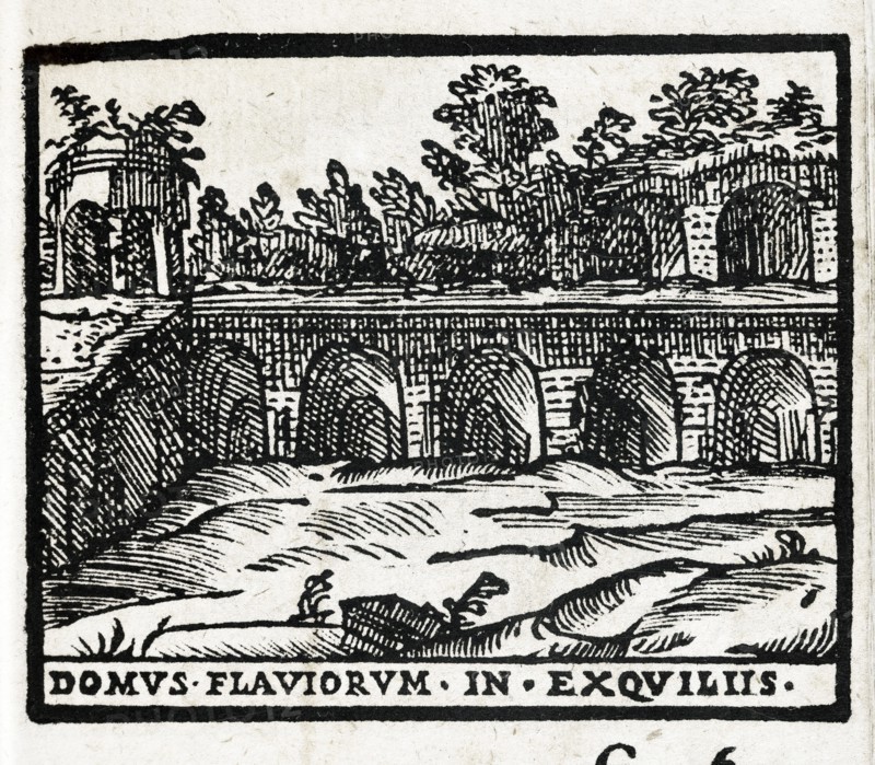 Domus Flaviorum in Exquiliis : Vestiges de la Domus Flavia à Rome