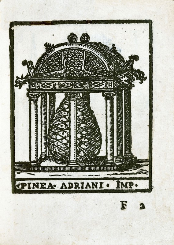 Pinea Adriani Imp.: Hadrian's Pine in Rome