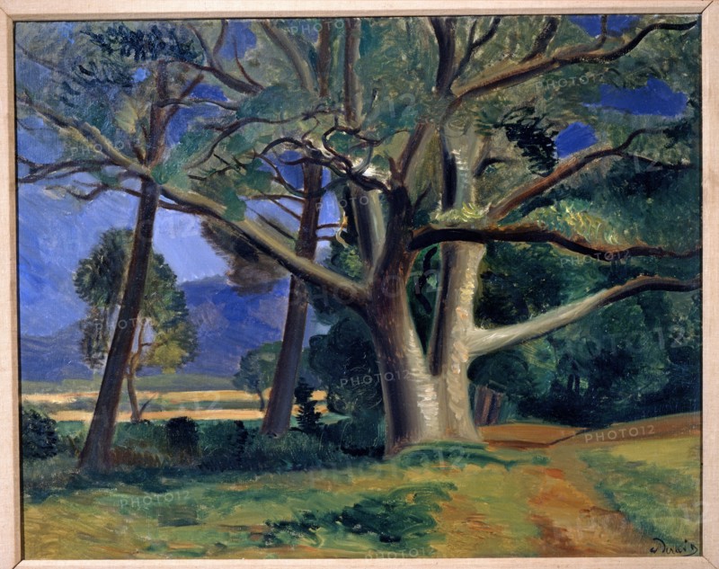 Derain, Le gros arbre