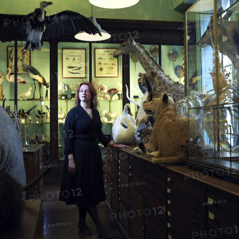 Audrey Niffenegger