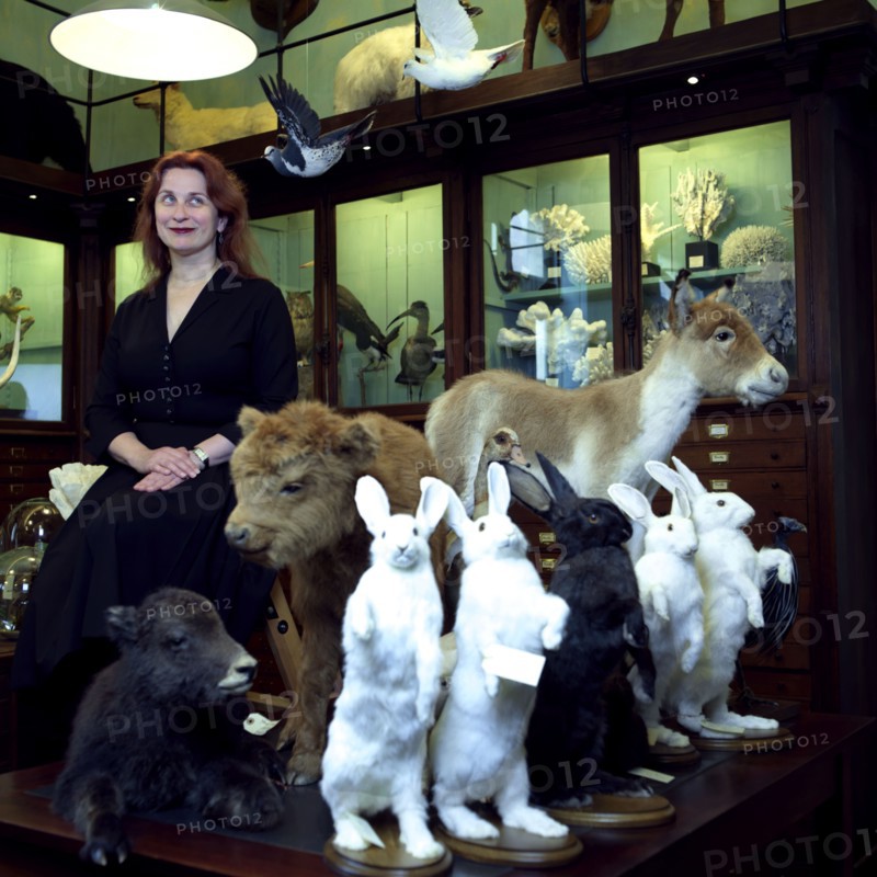 Audrey Niffenegger