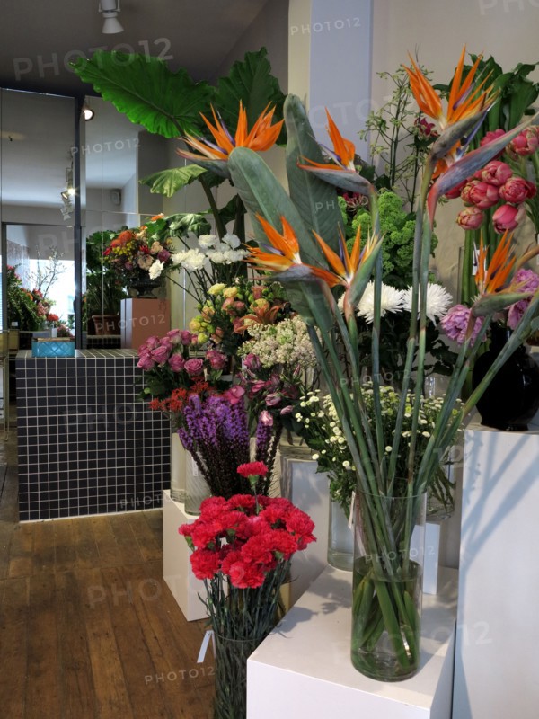 French flower shop 'Debeaulieu'