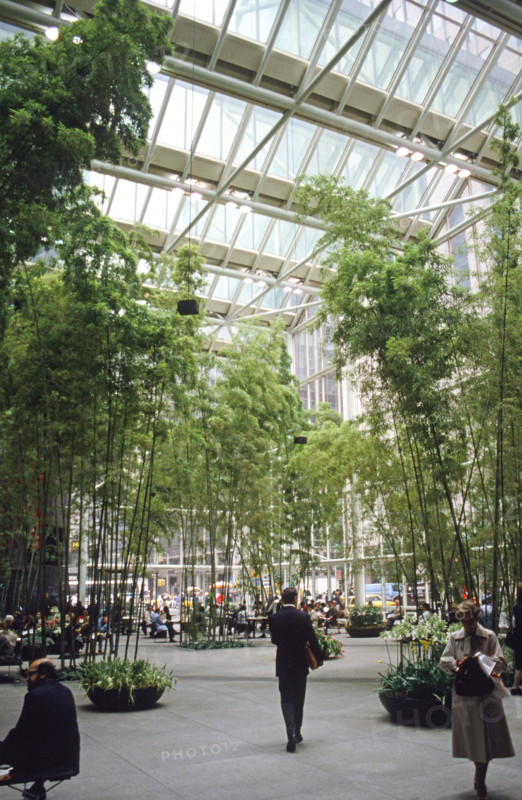 The atrium of the IBM Building in New York