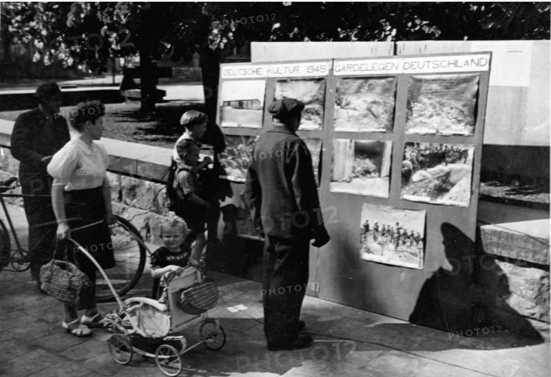 Civils allemands regardant les photos des camps, 1945