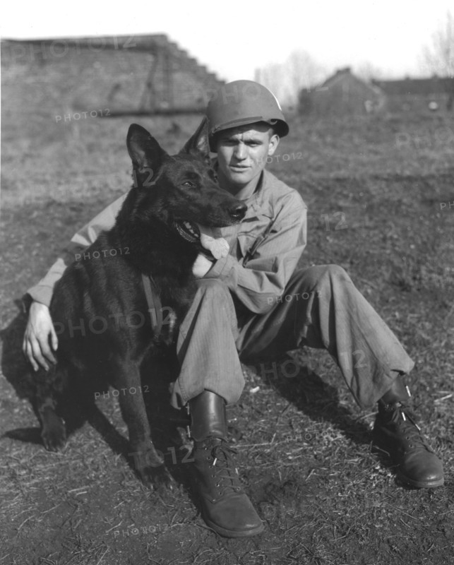 A member of the 42nd Qm War Dog Platoon in Farciennes (Belgium) March 25, 1945