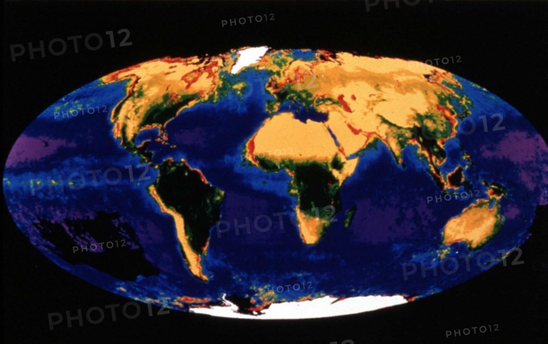 Biomasse végétale terrestre