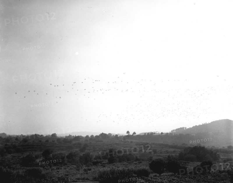 Débarquement de Provence (Opération Anvil Dragoon), le 15 août 1944