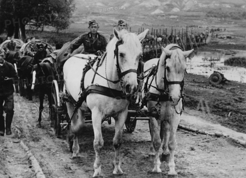 Third Reich - World War II - Eastern Campaign 1942