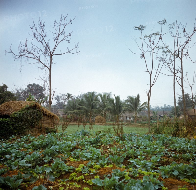 Historical Vietnam - North Vietnam 1973