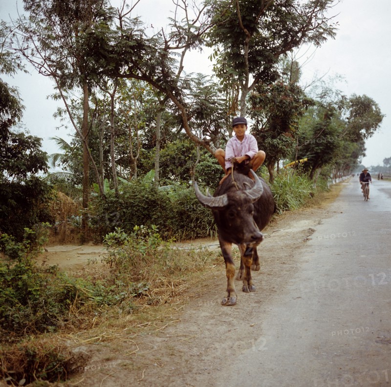 Historical Vietnam - North Vietnam 1973