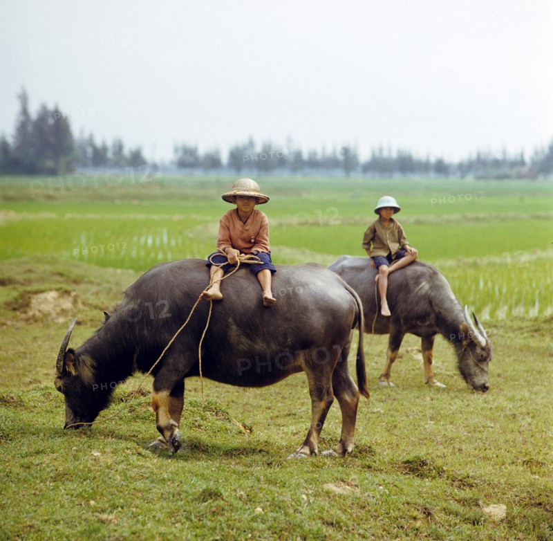 Historical Vietnam - North Vietnam1973