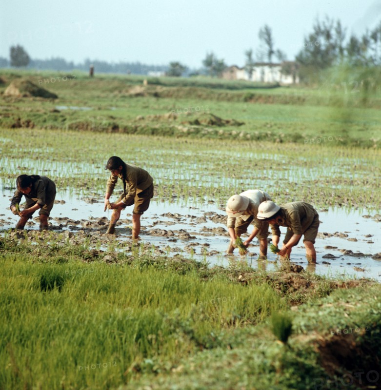 Historical Vietnam - North Vietnam 1973