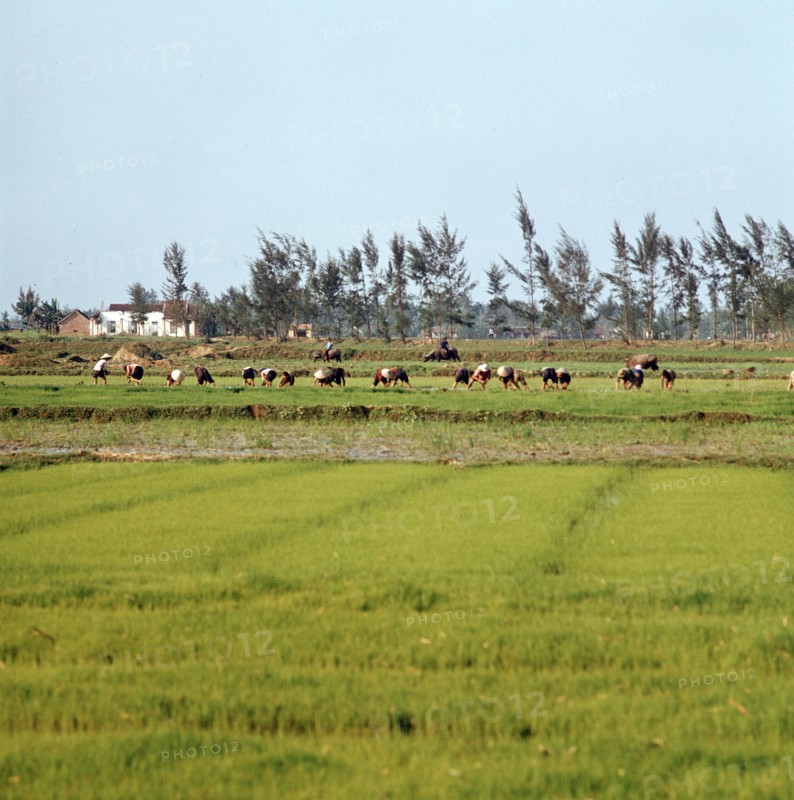 Historical Vietnam - North Vietnam 1973