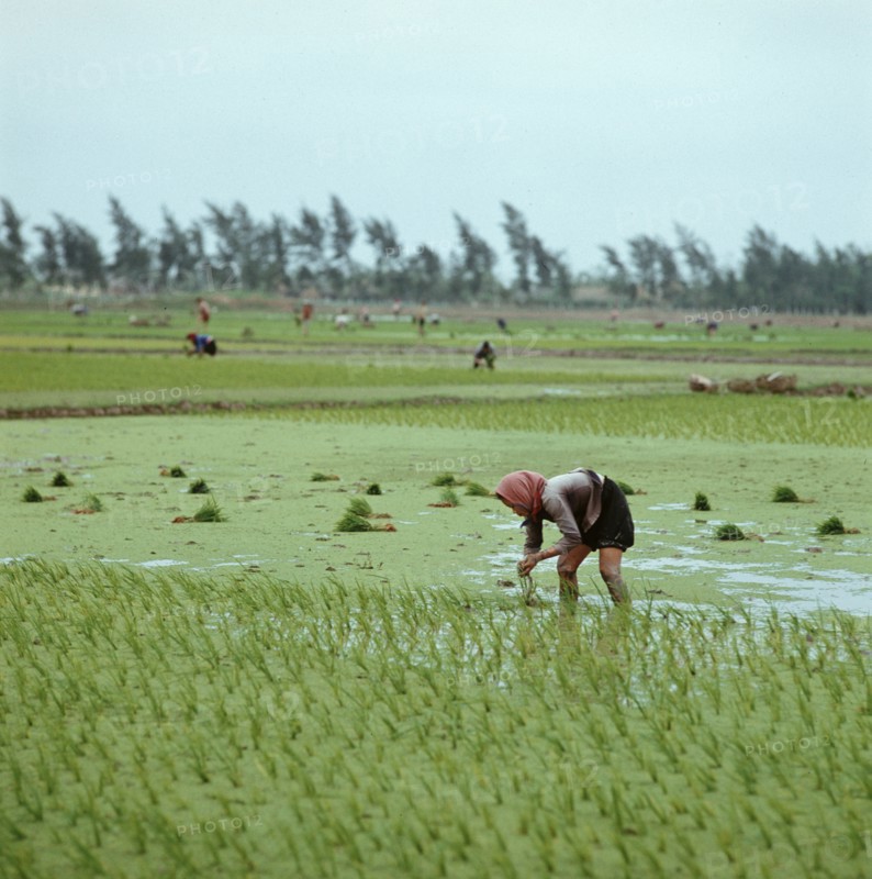 Historical Vietnam - North Vietnam 1973