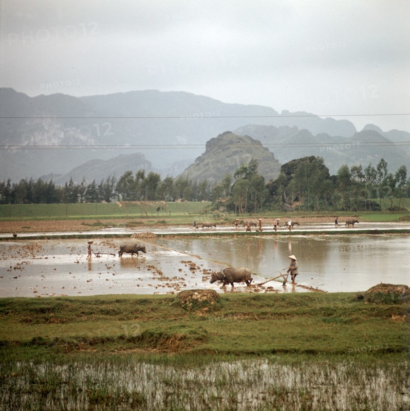 Historical Vietnam - North Vietnam 1973