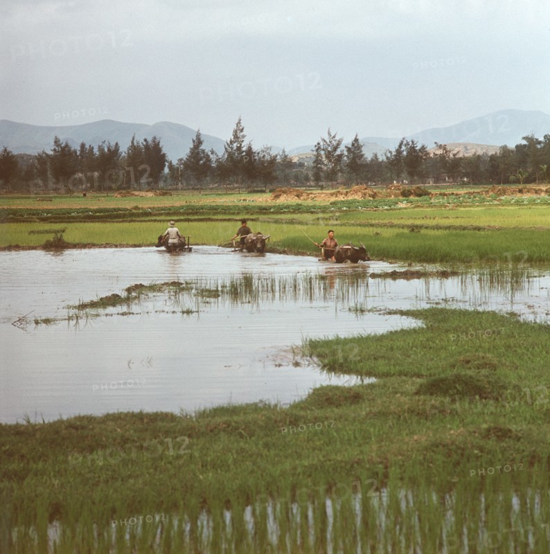 Historical Vietnam - North Vietnam 1973