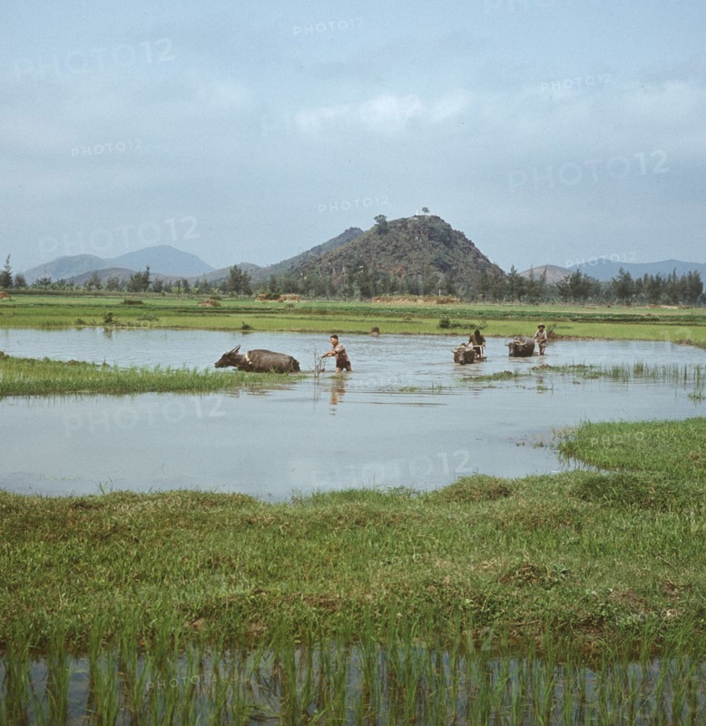 Historical Vietnam - North Vietnam 1973