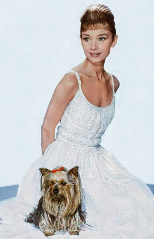 Audrey Hepburn