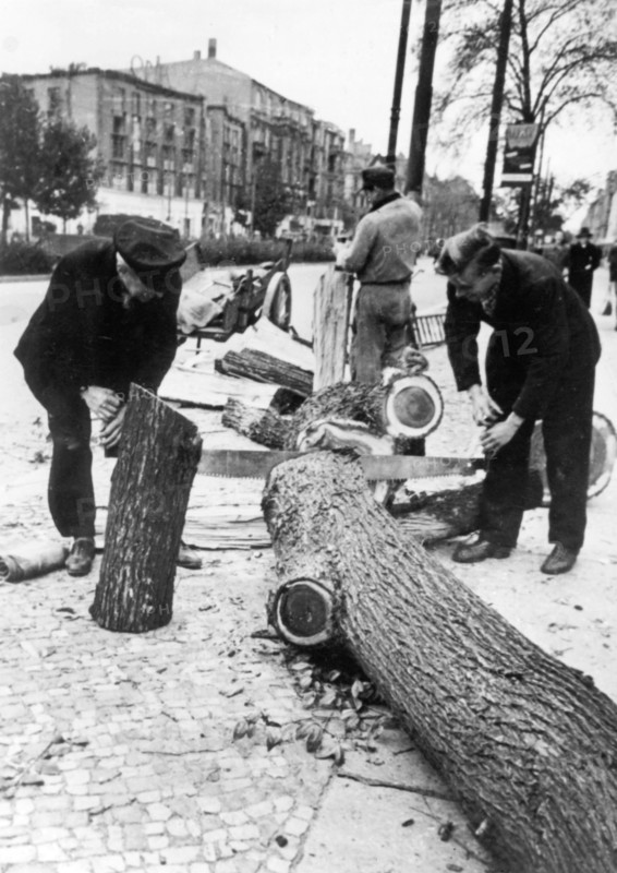 Berlin's trees and woods go into the oven